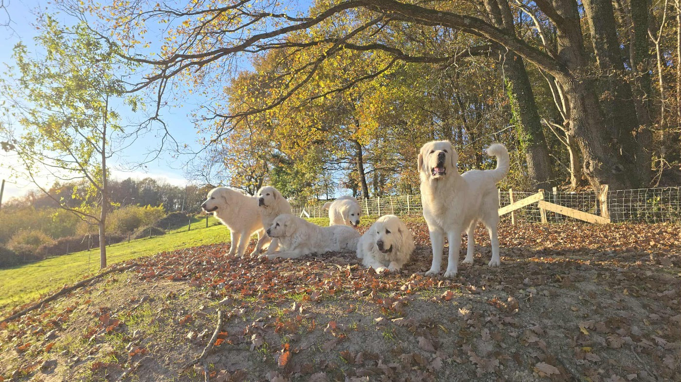 des Arcanes D'Hermes - Les Arcanes d'Hermes : l'âge de la retraite est arrivé !!